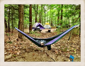 Eno Hammock