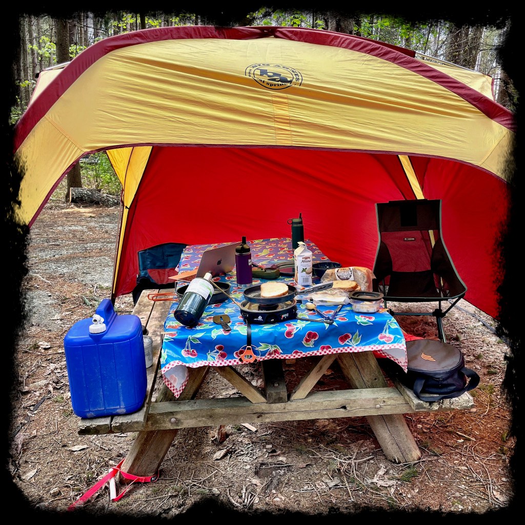 Stove on a picnic table that is under a shade tent with 2 sides to protect from rain
