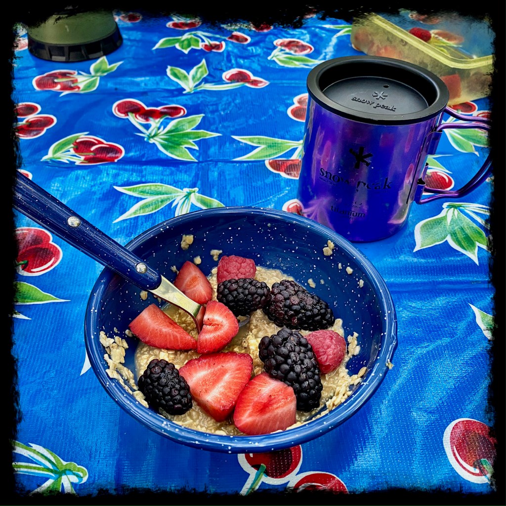 bowl with oatmeal, blackberries and raspberries