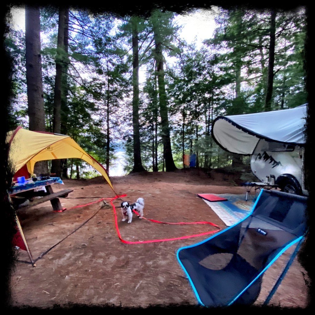Picnic table, dog and camper on a gray morning